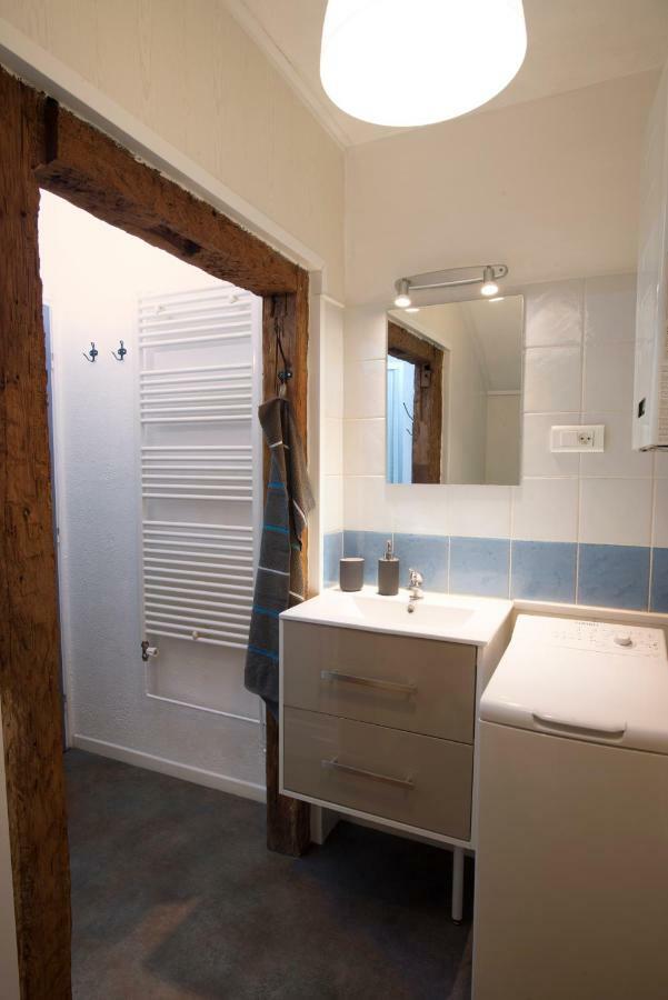 Apartament " Martin Schongauer " Colmar Zewnętrze zdjęcie